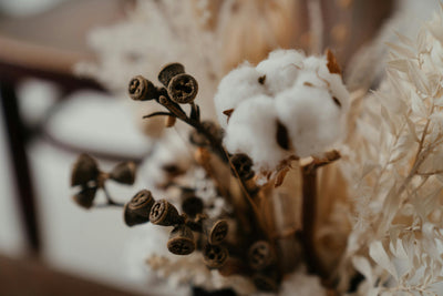 The Science Behind Organic Cotton & Why It’s the Best Choice for Skin Health